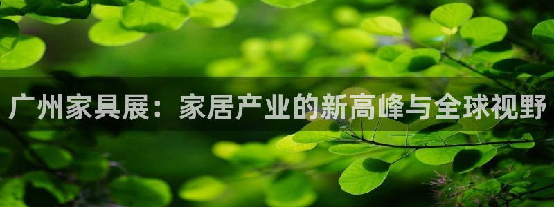 龙八国际网站手机版