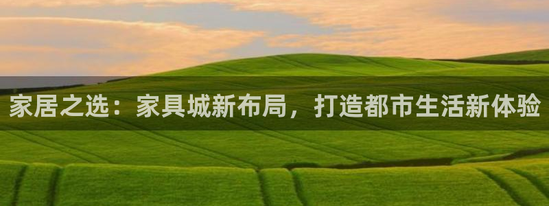 龙八国际代理
