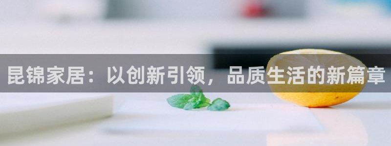 龙八国际城网站