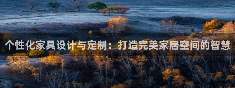 龙八国际是干什么的