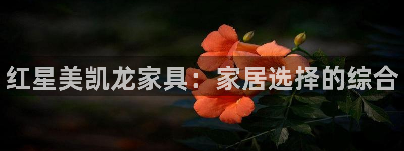 龙八国际官网app下载