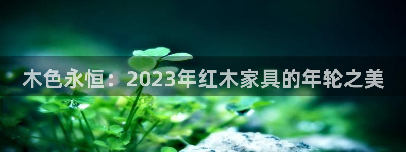 龙八国际最新官网：木色永恒：2023年红木家具的年轮之美
