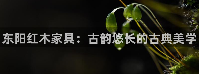 龙八国际网页