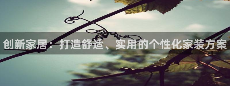 龙八国际刘佳烨