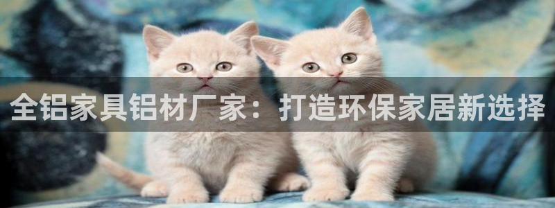 龙八国际娱乐实力如何