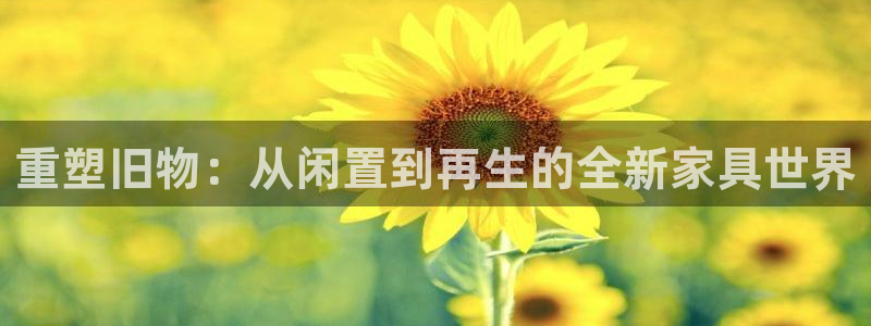 龙八国际优惠券有什么用