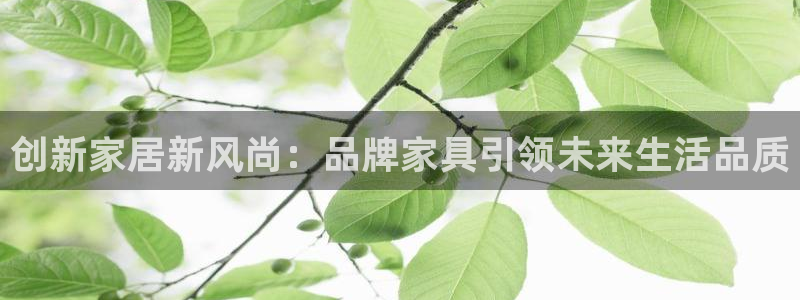 龙八国际登录网站