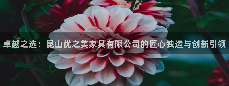 龙八国际棋牌