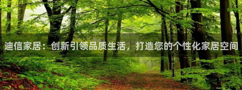 龙八国际p