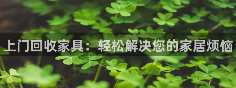 头号玩家龙八国际网址