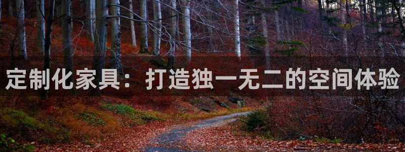 龙八国际娯乐城软件下载