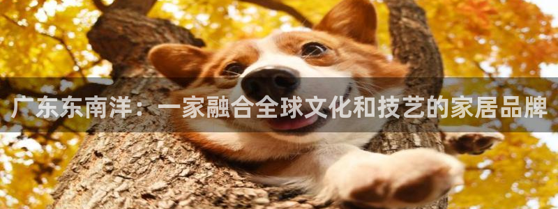 龙八国际游戏维护时间