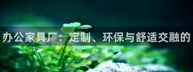 在龙八国际