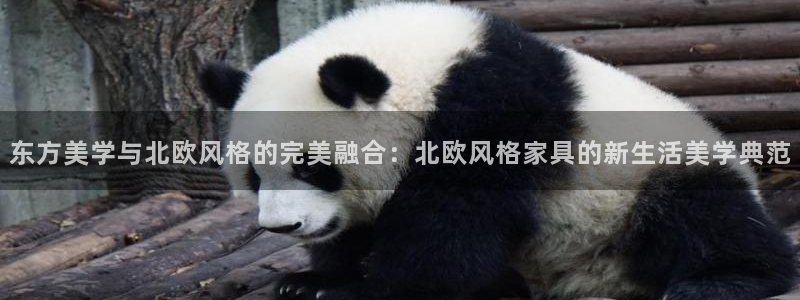 龙八国际娱乐官方网站