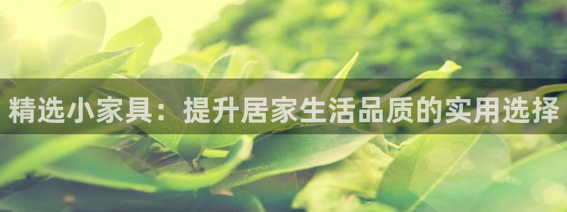 龙八国际彩金购买