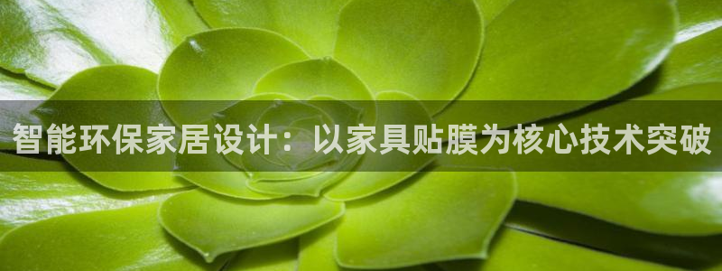 龙八国际这个平台在哪里