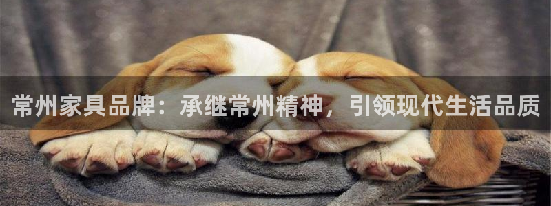 l龙八国际网页登录