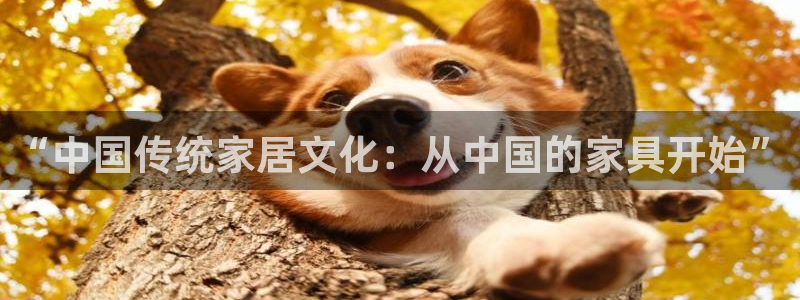 龙八国际改名