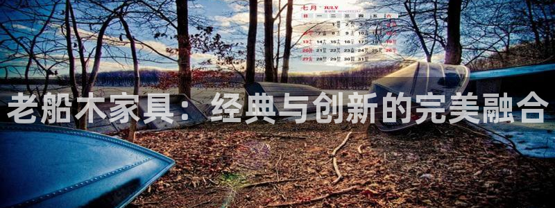 龙八国际可b48点tv
