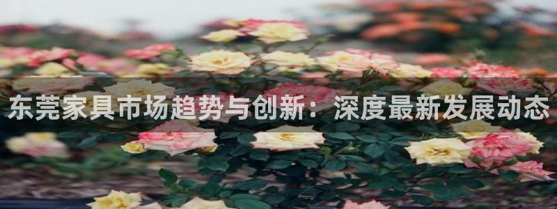 龙八国际手机登录入口