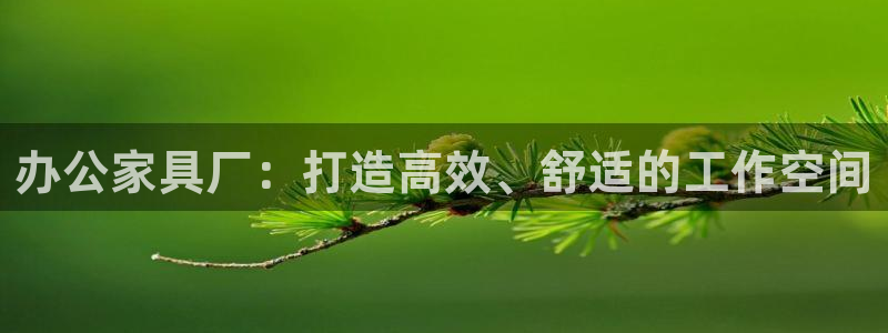 龙八国际网页登陆