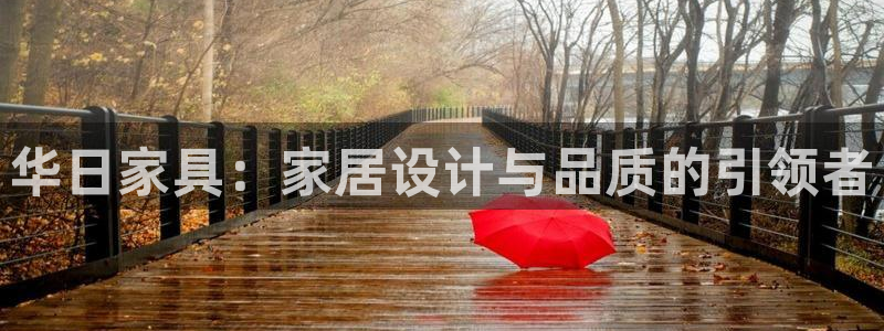 打开龙八国际