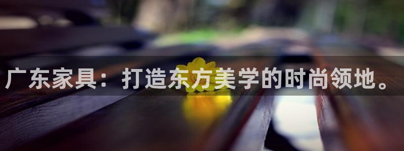 龙八国际娱乐 pt