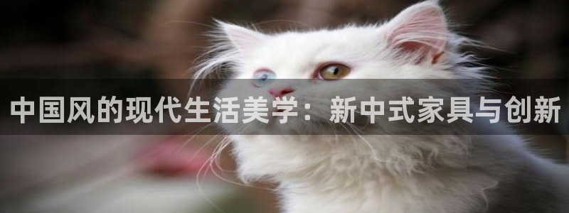 龙八国际视频网站