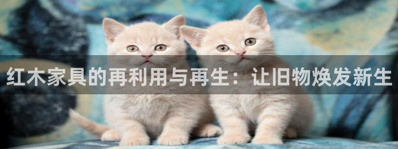 龙八国际怎么注册安卓