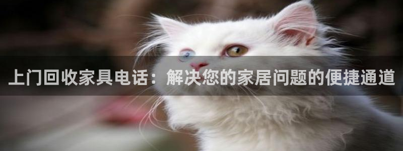 不会玩龙八国际