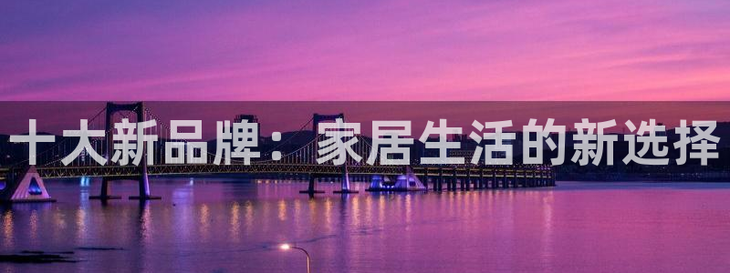 龙八国际登录密码