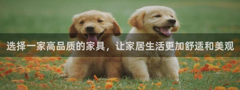 龙八国际娱乐网