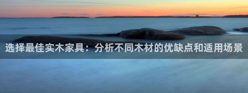 龙八国际手机版