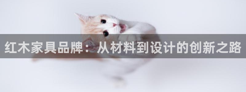 龙八国际发哥下载