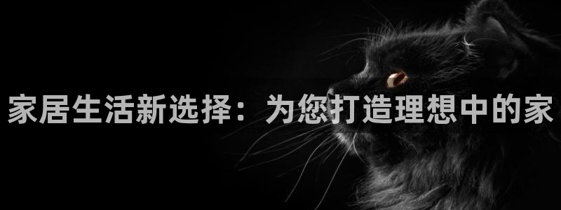 龙八国际是个什么游戏机：家居生活新选择：为您打造理想中的家