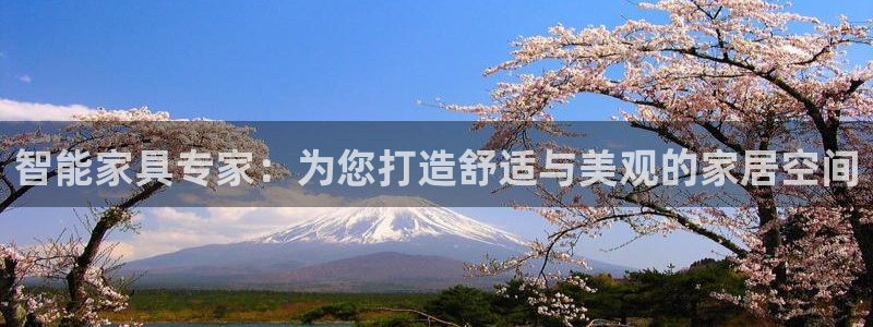 龙八国际苹果下载