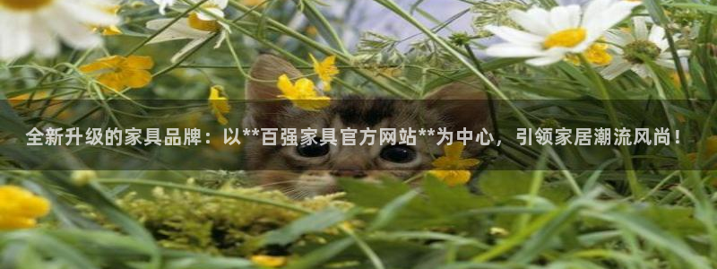 龙八国际app客户端经济区