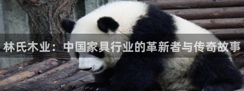 龙八国际娱乐地