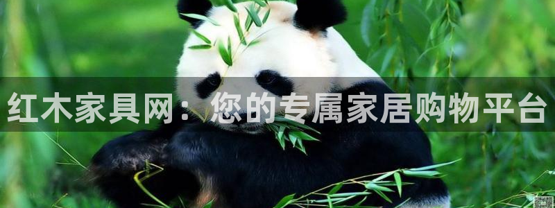 龙八国际害死多少人