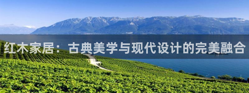 龙八国际官方手游