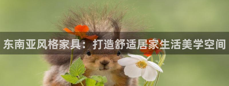 龙八国际app电话