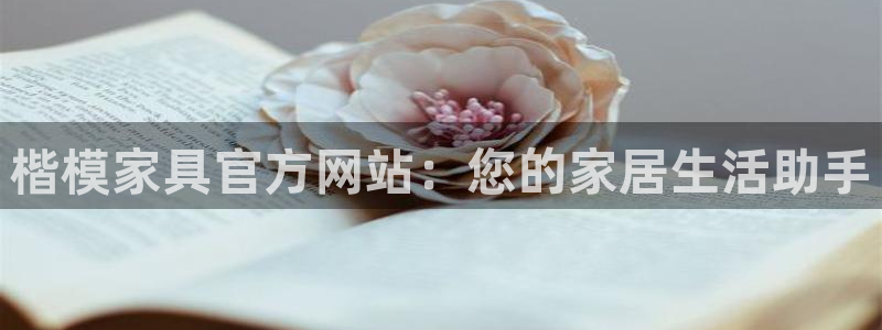 龙八国际网店客服电话