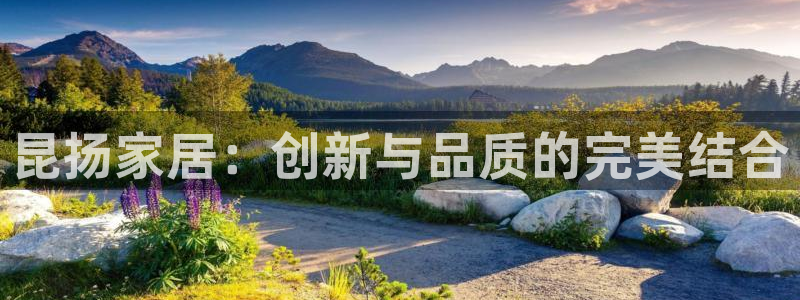 龙八国际娱乐充值