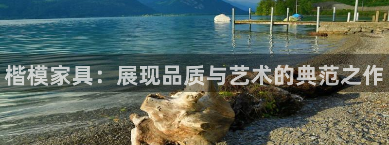 龙八国际在线登录