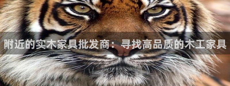 龙八国际下载官网平台