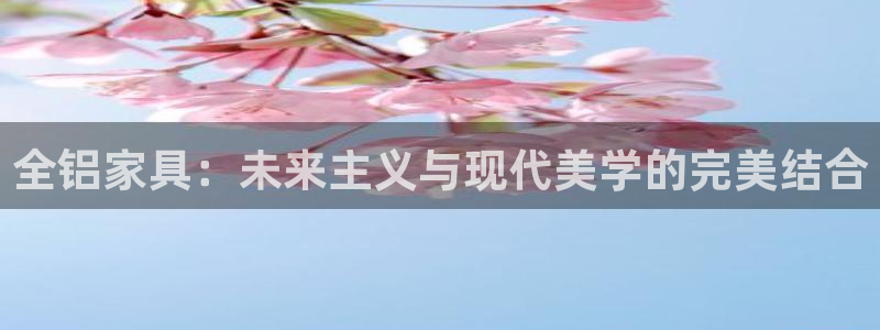 龙八国际是什么软件