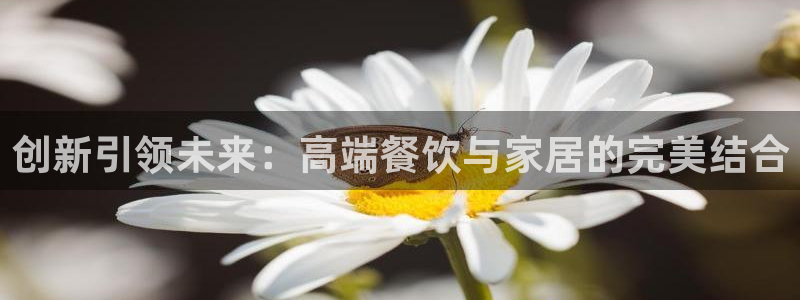 龙八国际花园宝宝