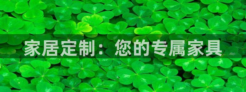 龙八国际娱乐pt老虎机