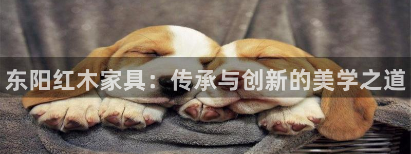 龙八国际合法