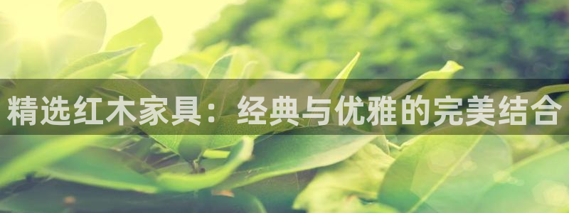 龙八国际地址